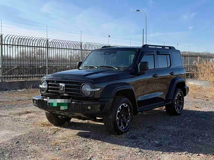 Tank 300 Hybrid 2025 2025款 Hi4-T 36.7kWh