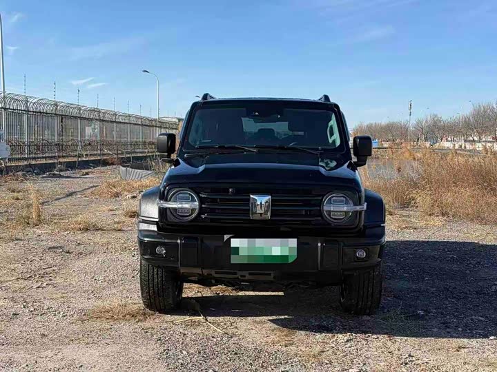 Tank 300 Hybrid 2025 2025款 Hi4-T 36.7kWh