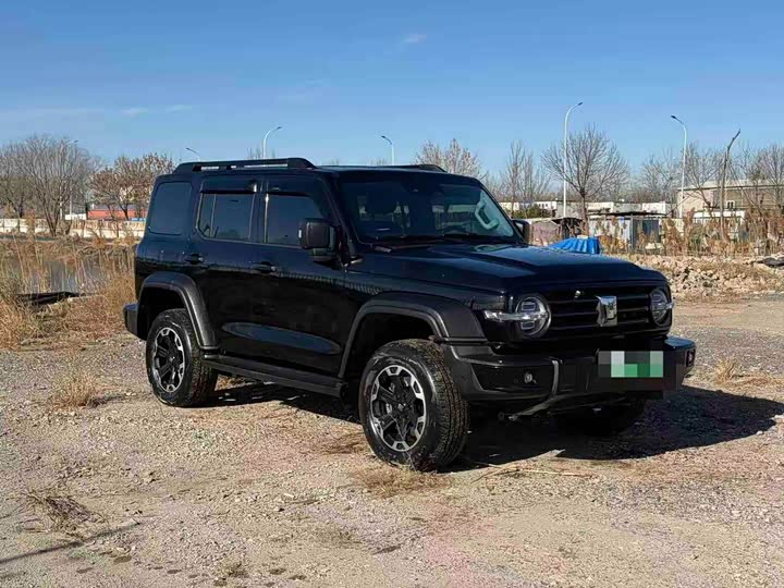 Tank 300 Hybrid 2025 2025款 Hi4-T 36.7kWh