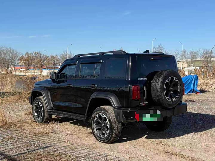 Tank 300 Hybrid 2025 2025款 Hi4-T 36.7kWh