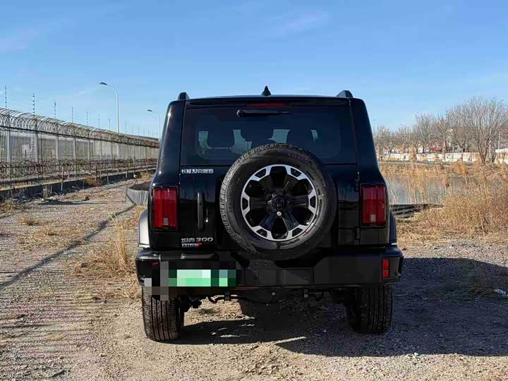 Tank 300 Hybrid 2025 2025款 Hi4-T 36.7kWh