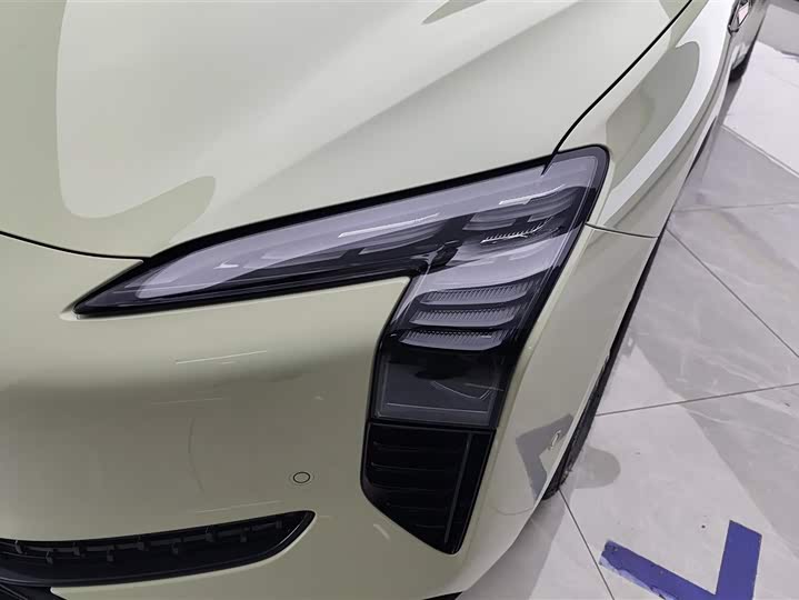 Hongqi EH7 2024 2024款 690 Pro