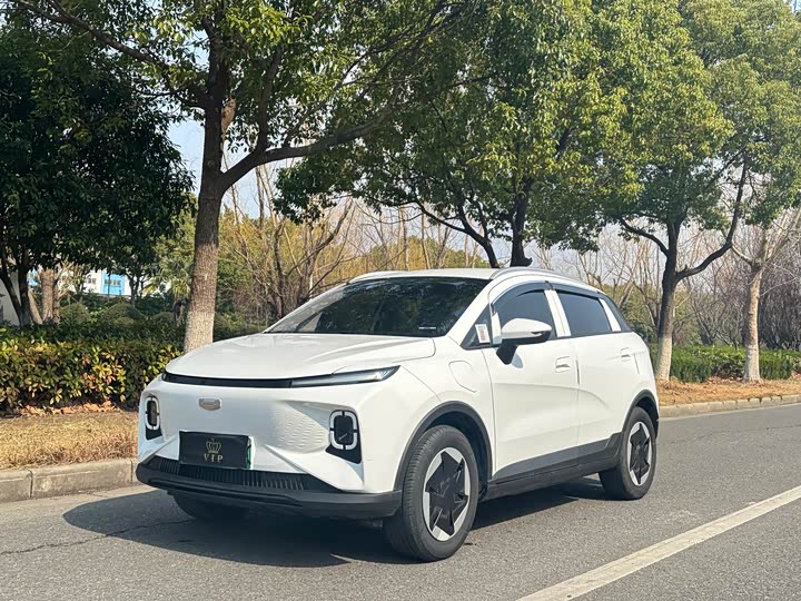 Geely Geometry E Firefly 2024 2024款 301km 星光