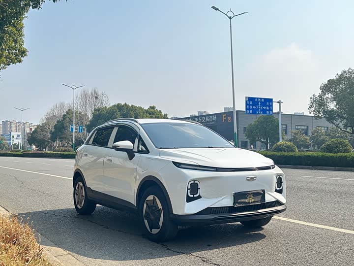 Geely Geometry E Firefly 2024 2024款 301km 星光