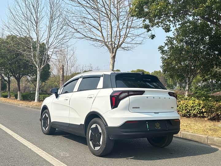 Geely Geometry E Firefly 2024 2024款 301km 星光