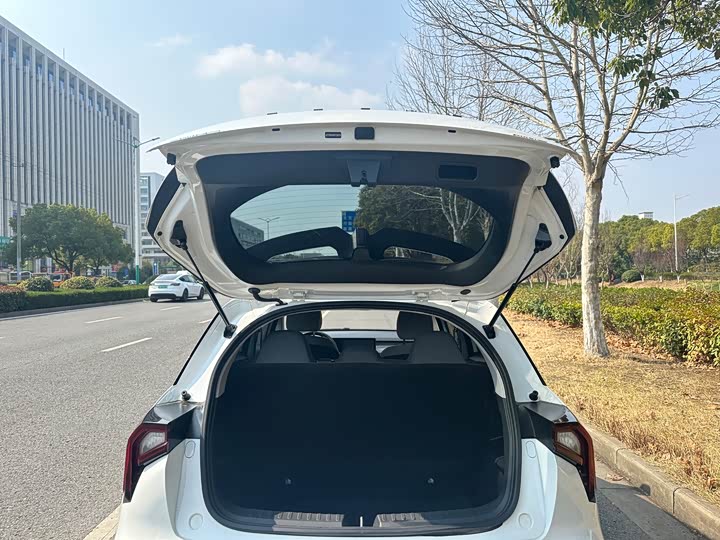 Geely Geometry E Firefly 2024 2024款 301km 星光