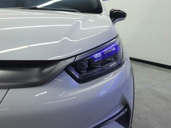 BYD Yuan Pro 2021 2021款 401KM 豪华型