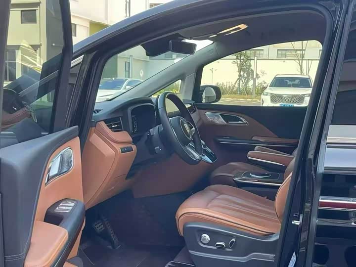 Hongqi HQ9 2023 2023款 2.0T 智联旗畅版