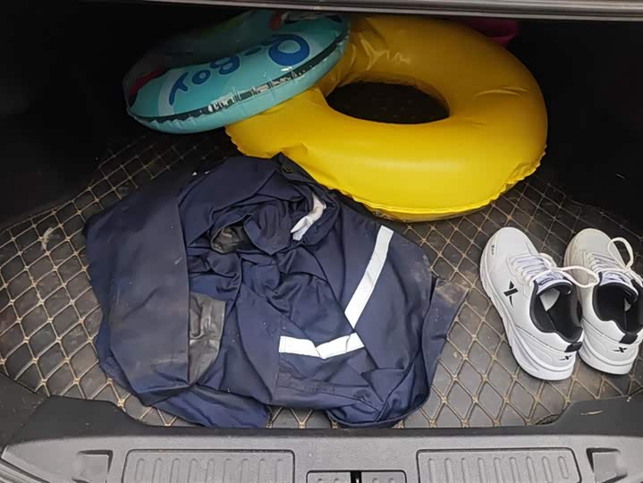 Ford Taurus 2019 2019款 EcoBoost 245 尊享版