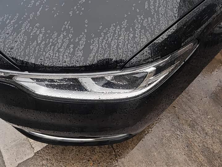 Ford Taurus 2019 2019款 EcoBoost 245 尊享版