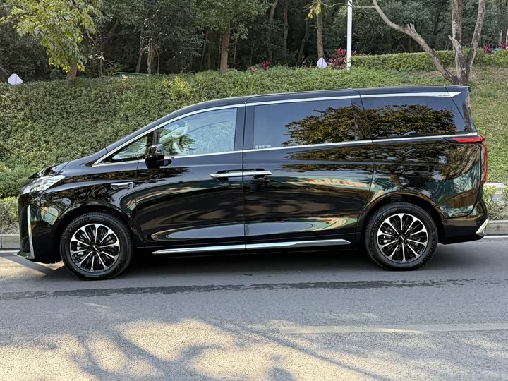 Wey Gaoshan 2025 2025款 四驱高山7