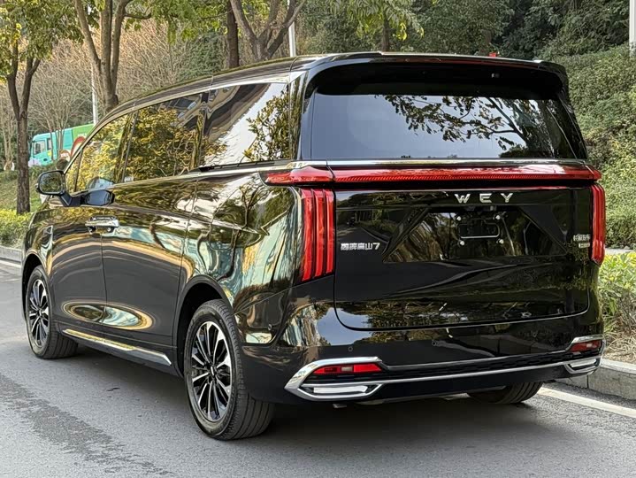 Wey Gaoshan 2025 2025款 四驱高山7