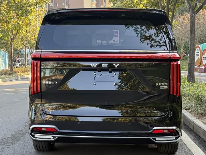 Wey Gaoshan 2025 2025款 四驱高山7