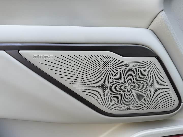 Wey Gaoshan 2025 2025款 四驱高山7