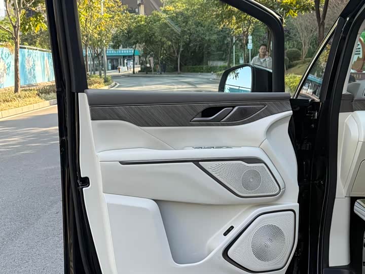 Wey Gaoshan 2025 2025款 四驱高山7