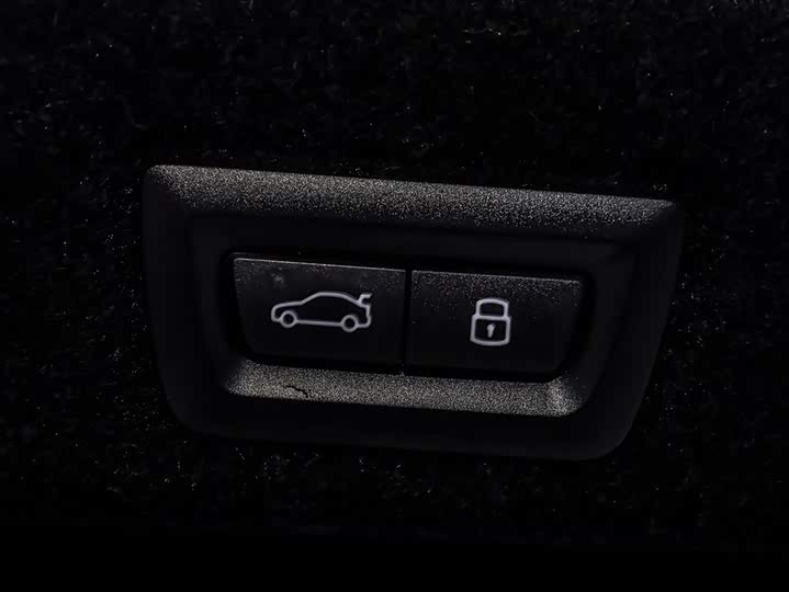 BMW 5 Series 2024 2024款 530Li 领先型 M运动套装