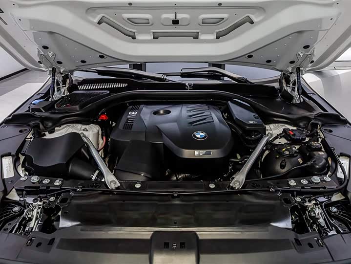 BMW 5 Series 2024 2024款 530Li 领先型 M运动套装