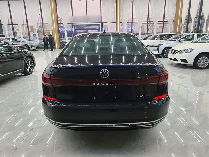 Volkswagen Passat Hybrid 2025 2025款 430PHEV 混动商务版