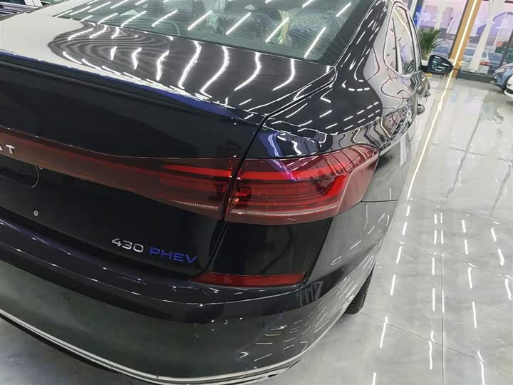 Volkswagen Passat Hybrid 2025 2025款 430PHEV 混动商务版