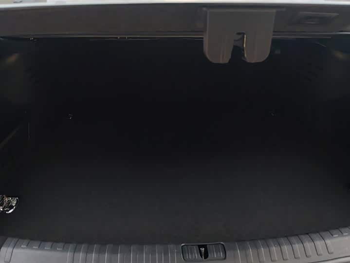 Audi A6L Hybrid 2020 2020款 55 TFSI e quattro