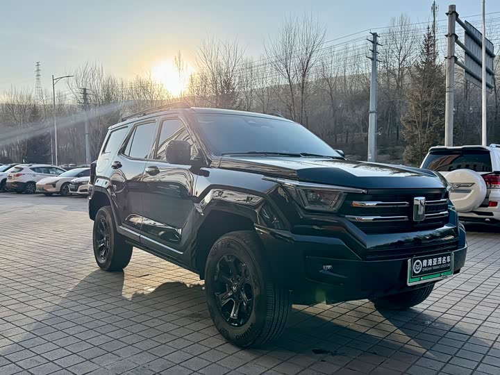 Tank 400 Hybrid 2024 2024款 Hi4-T 越野版