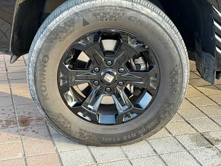 Tank 400 Hybrid 2024 2024款 Hi4-T 越野版