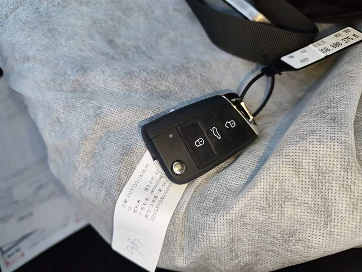 Volkswagen Passat Hybrid 2025 2025款 430PHEV 混动商务版