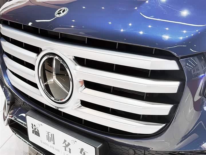 Mercedes-Benz GLS-Class 2024 2024款 GLS 450 4MATIC 豪华型