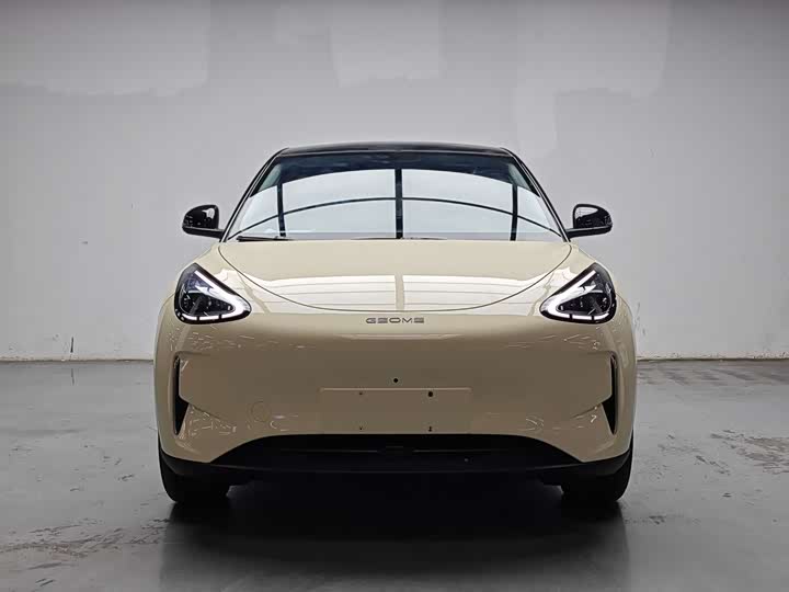Geely Galaxy Geome 2025 2025款 310km 梦想版