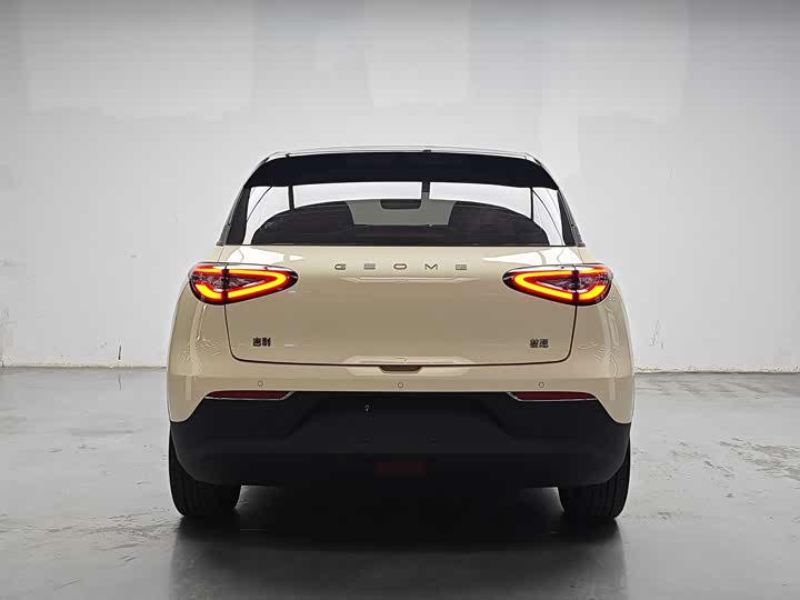 Geely Galaxy Geome 2025 2025款 310km 梦想版