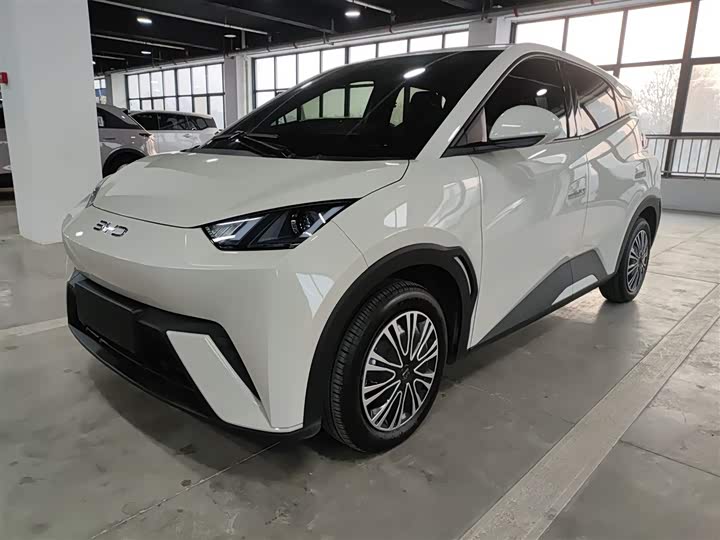 BYD Seagull 2025 2025款 305km 活力版