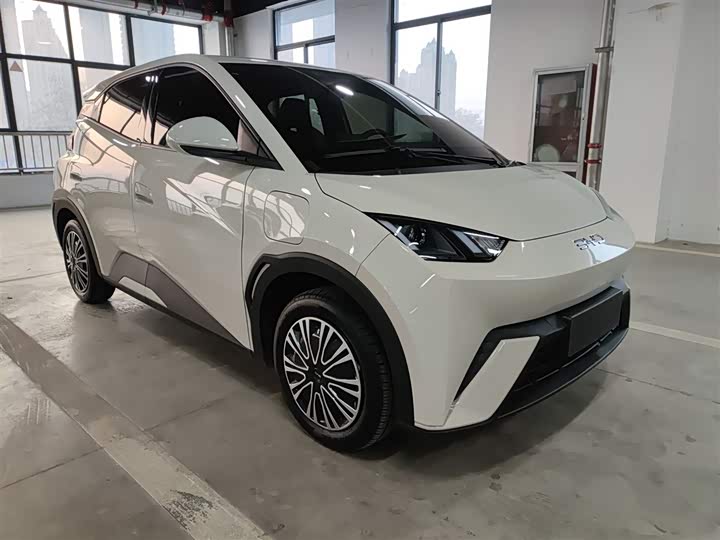 BYD Seagull 2025 2025款 305km 活力版