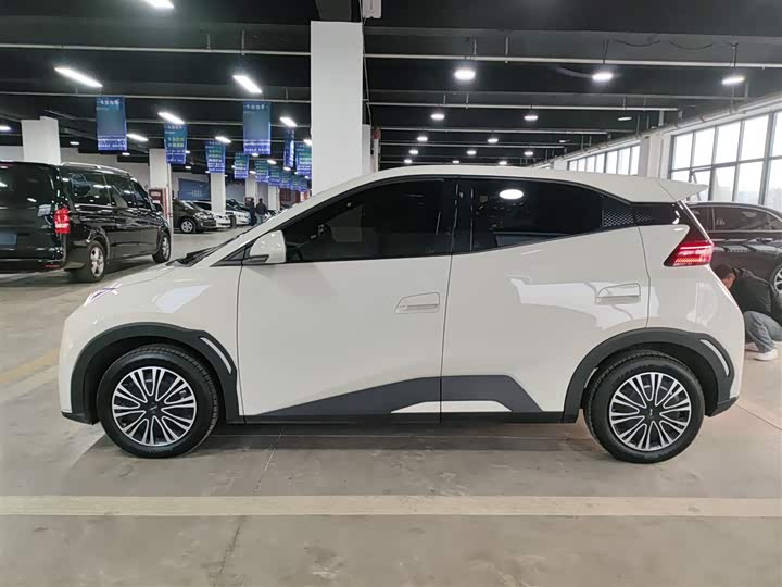 BYD Seagull 2025 2025款 305km 活力版