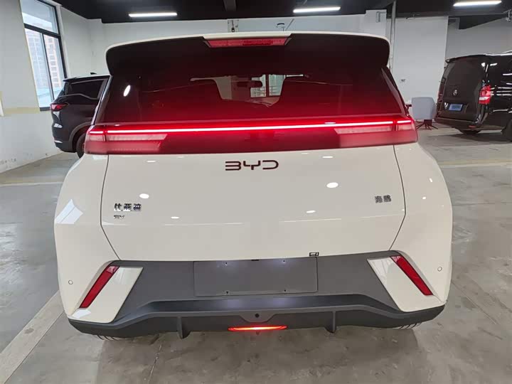 BYD Seagull 2025 2025款 305km 活力版