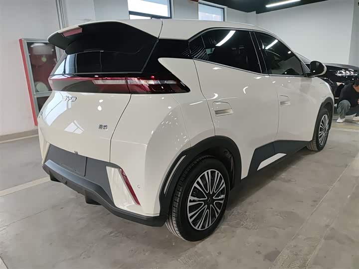 BYD Seagull 2025 2025款 305km 活力版