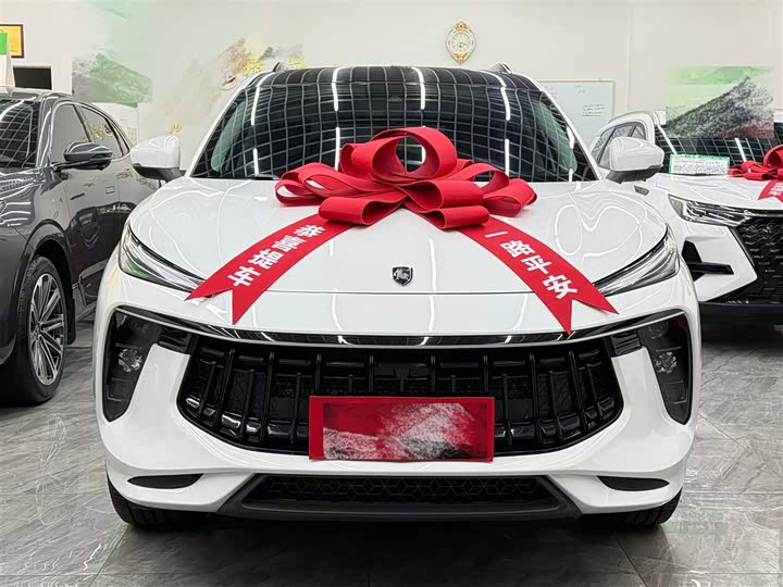 Dongfeng Forthing T5 EVO 2021 2021款 1.5TD DCT钻石版