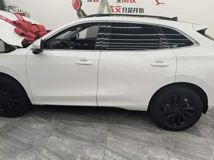 Dongfeng Forthing T5 EVO 2021 2021款 1.5TD DCT钻石版