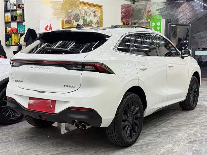 Dongfeng Forthing T5 EVO 2021 2021款 1.5TD DCT钻石版