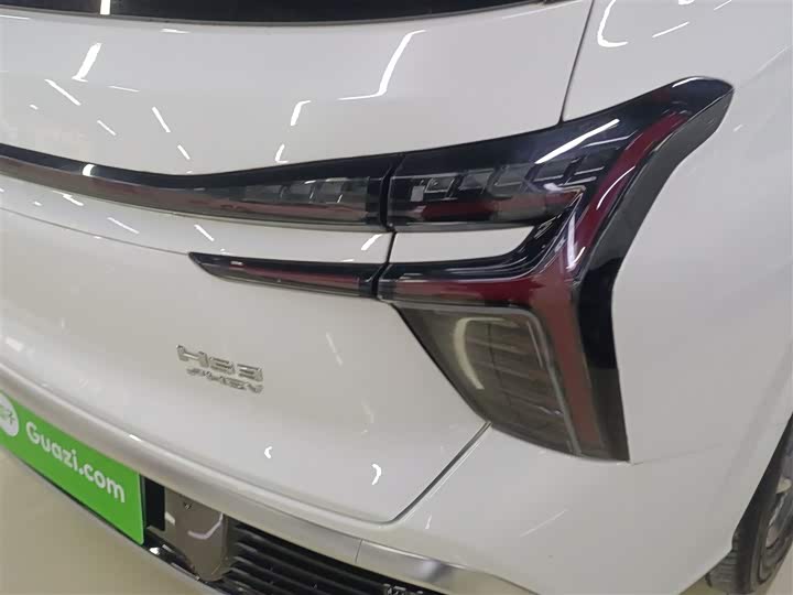 Hongqi HS3 Hybrid 2024 2024款 115km 劲为版