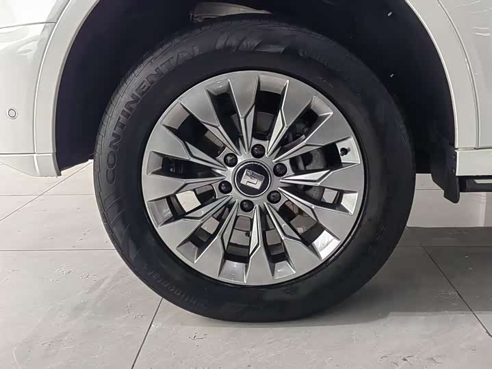 Tank 500 2023 2023款 3.0T 运动版 造境型 5座