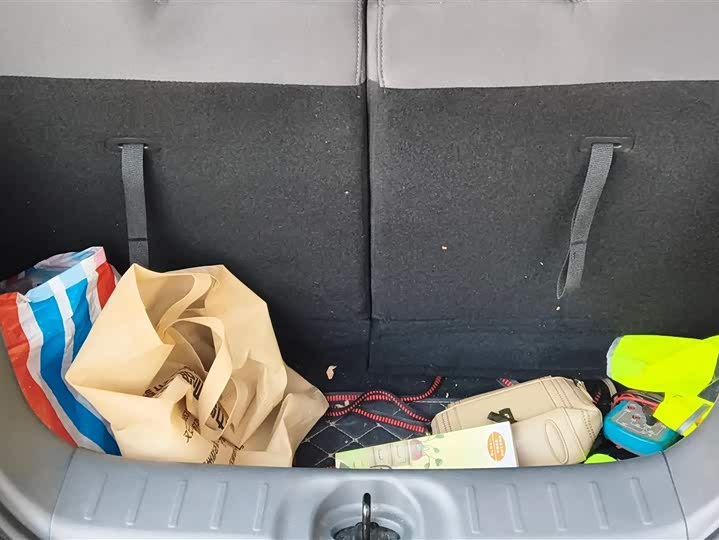 Changan Qiyuan (Nevo) Lumin 2025 2025款 205km 清香款