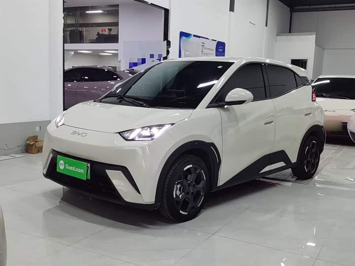 BYD Seagull 2025 2025款 305km 自由版