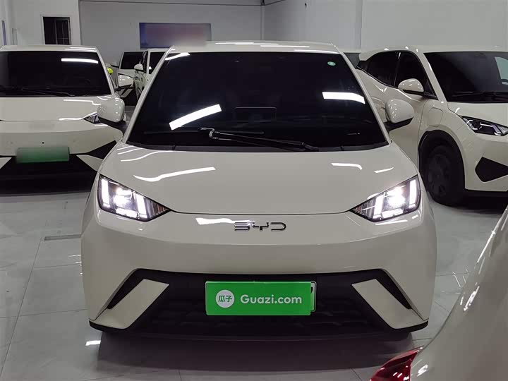 BYD Seagull 2025 2025款 305km 自由版