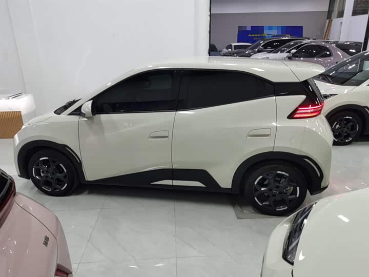 BYD Seagull 2025 2025款 305km 自由版