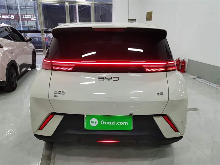 BYD Seagull 2025 2025款 305km 自由版