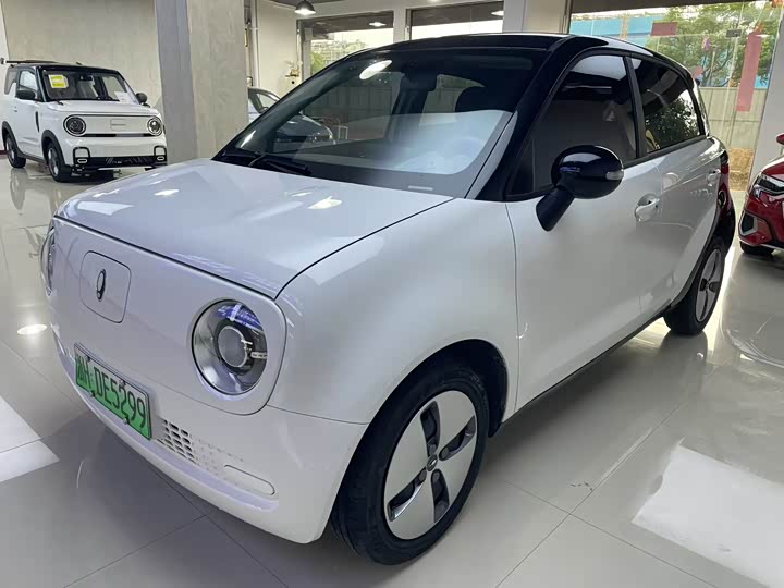 Ora Black Cat 2022 2022款 301km 基础型 三元锂