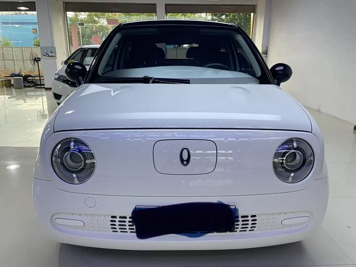 Ora Black Cat 2022 2022款 301km 基础型 三元锂