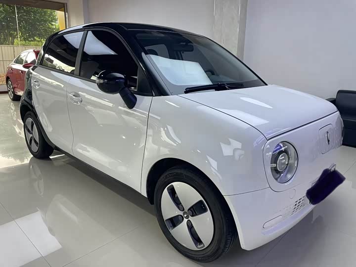 Ora Black Cat 2022 2022款 301km 基础型 三元锂