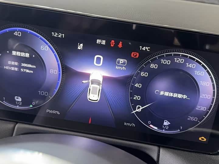 Hongqi HS3 Hybrid 2024 2024款 115km 劲为版
