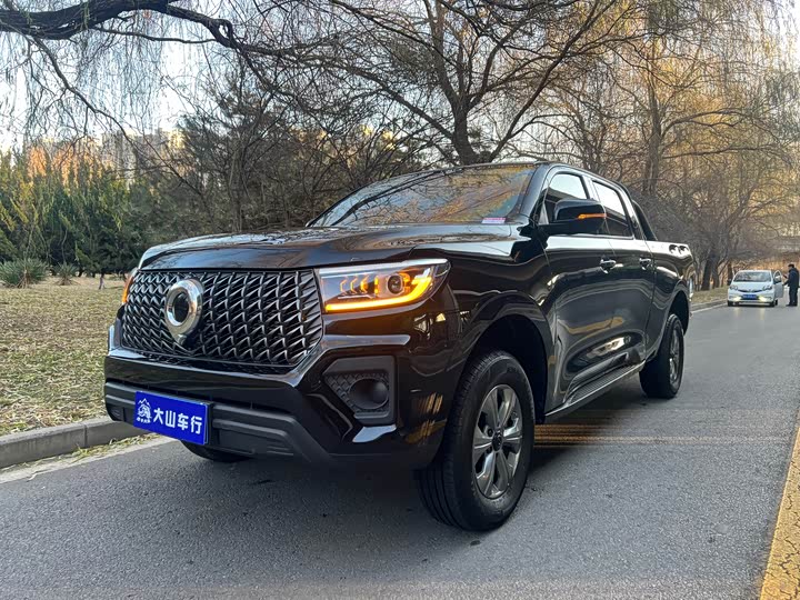 Great Wall Pao 2024 2024款 2.4T商用版自动柴油两驱精英型